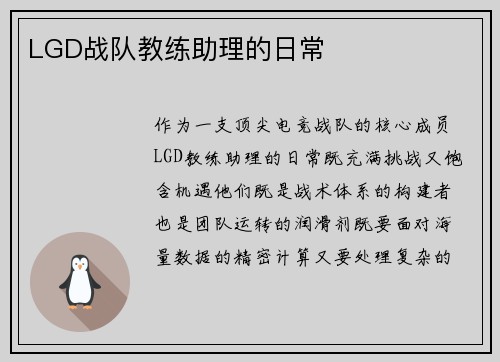 LGD战队教练助理的日常