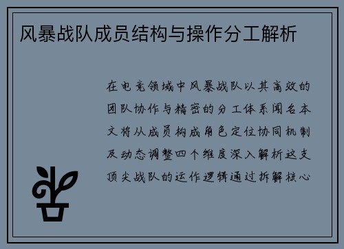 风暴战队成员结构与操作分工解析