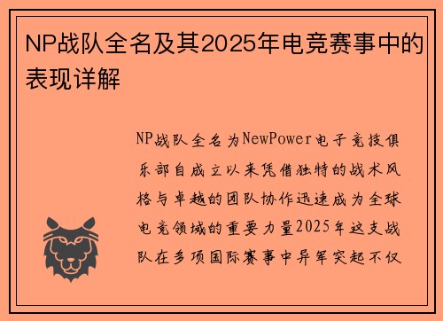 NP战队全名及其2025年电竞赛事中的表现详解